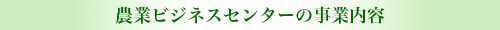 農業ビジネスセンターの事業内容